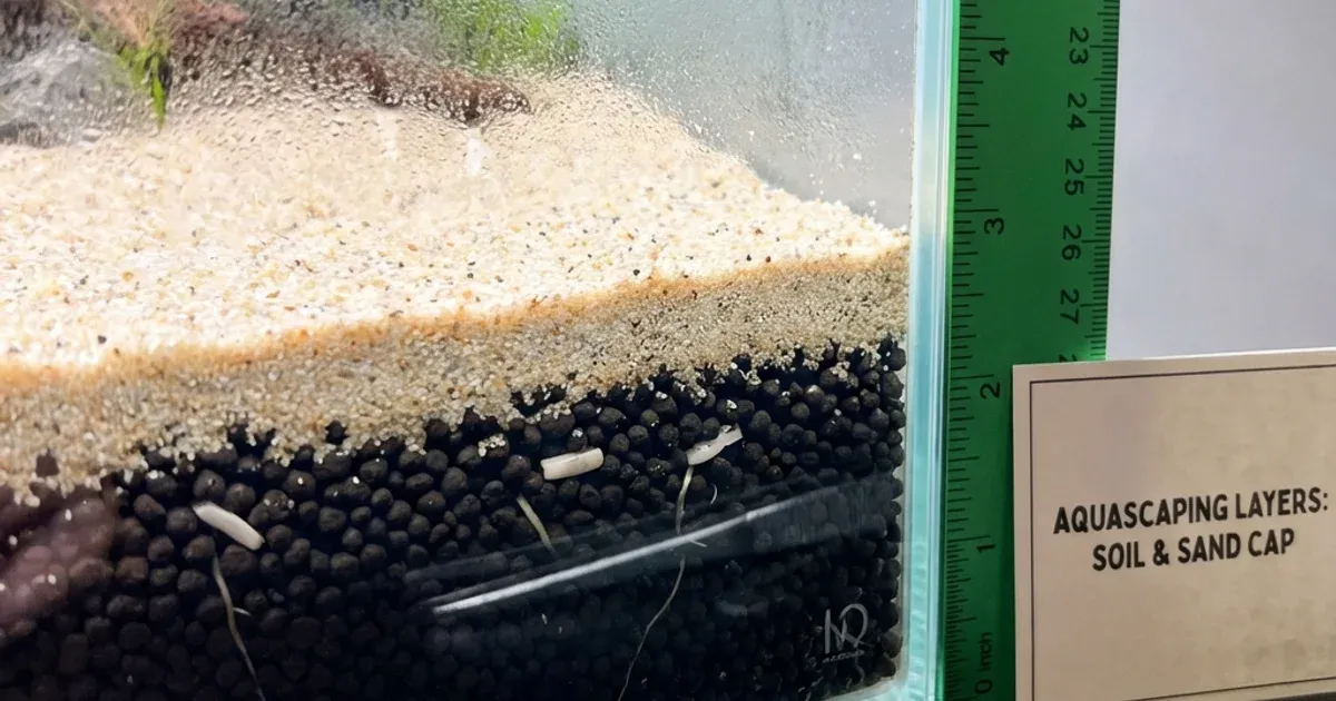 Berbagai jenis substrate aquascape dari aquasoil hingga pasir silika